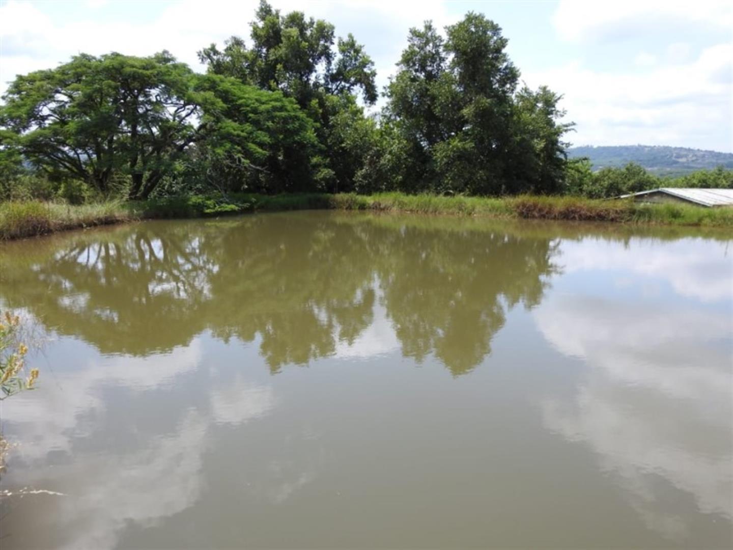 Farm for Sale in White River AH, White River 566898